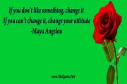 Maya Angelou Quote