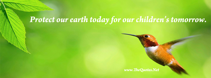 Quotes About Protecting The Environment. QuotesGram